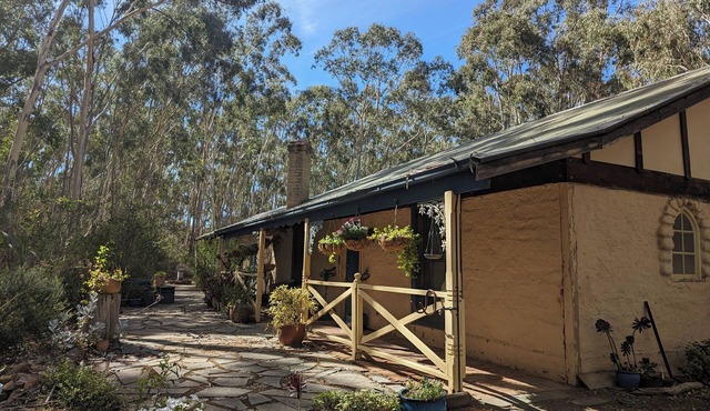 Peppertree Corner, Clare Valley - Dog Heaven!