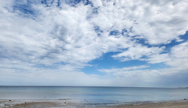 Private accessible, renovated studio just 700m from Seacliff beach.