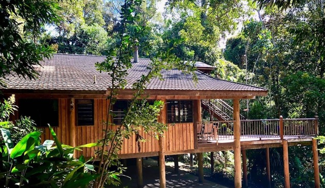Rainforest Chalet Unforgettable Tropical Retreat