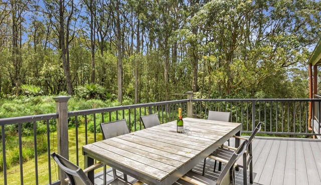 Rainforest Retreat