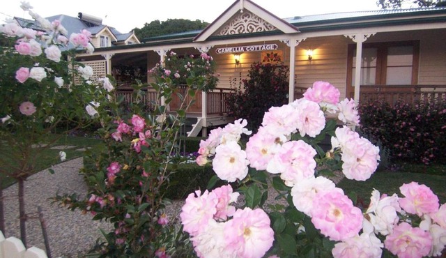 Reid's Place