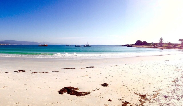 Relax @ 31 Fully Renovated Bicheno Family Beach House