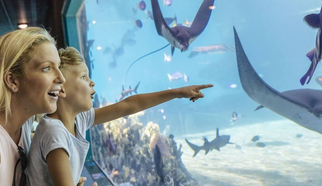 Sea World Resort