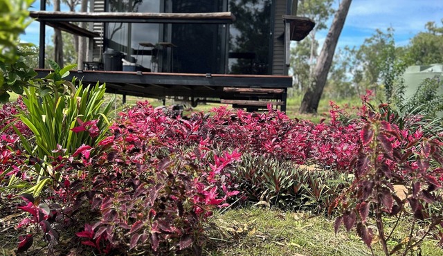 Spacious modern Bungalow Desert Rose: 10 minutes to Litchfield National Park