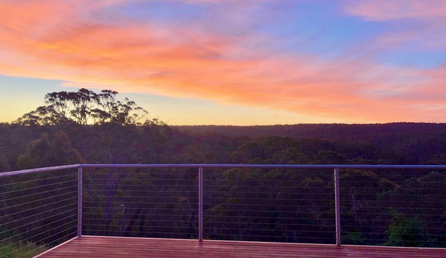 Spectacular Uninterrupted Forest Views