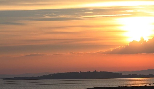 Stunning views overlooking Swan Bay - 250m to surf beach-pet friendly and fenced