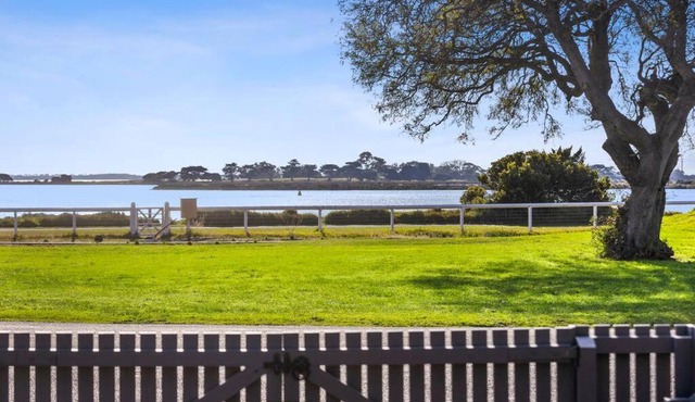 Swan View