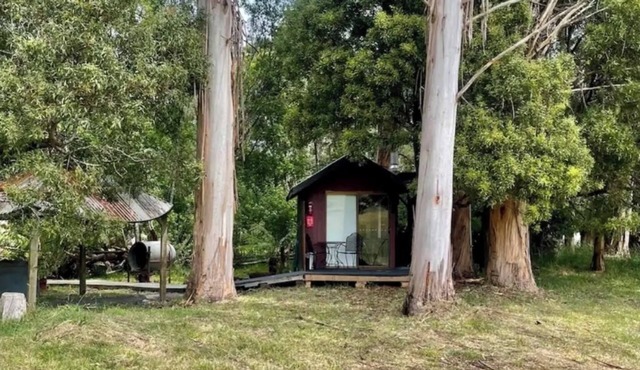 Take a break and unwind in this peaceful and relaxing bush setting