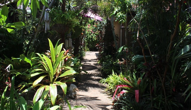 Tallows Beach Sanctuary, beachside unit, walk to beach and shops. WIFI, Netflix