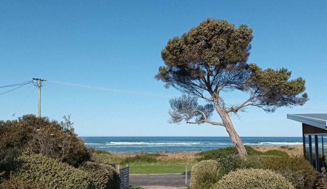 The Dunes - King Studio - 50m from Scamander Beach