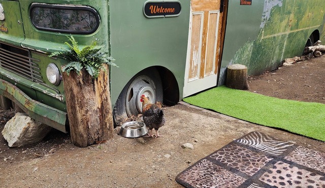 Unique, Exciting Bus Located on 63 acres with a Cosy woodheater. Luxury.