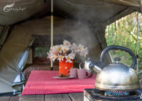 WA Wilderness Camping Experience