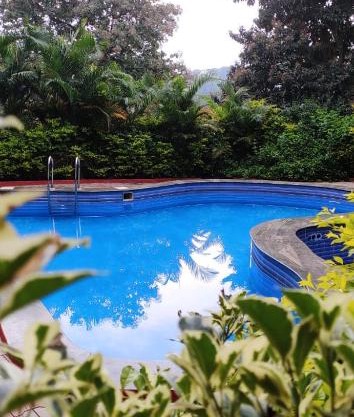 dolphinresort