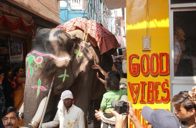 Good Vibes hostel