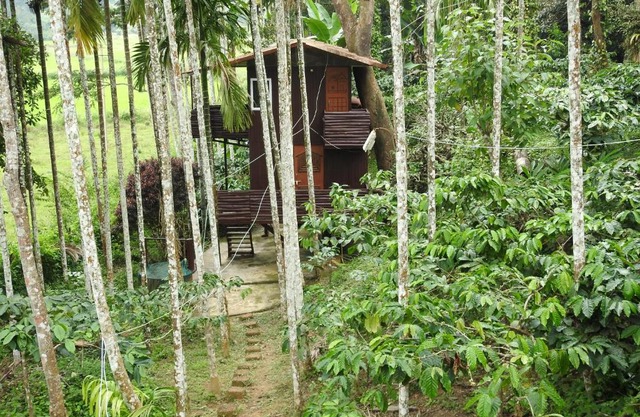 The Bliss Coorg