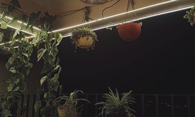 Jwalapur Apartment | 1400 m² Apartment ∙ 3 bedrooms ∙ 9 guests