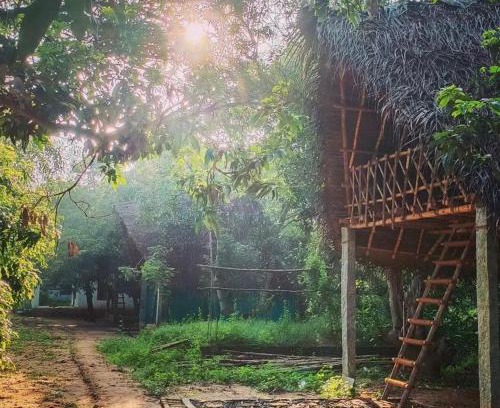 Bommayapalayam Hostel | Art Forest