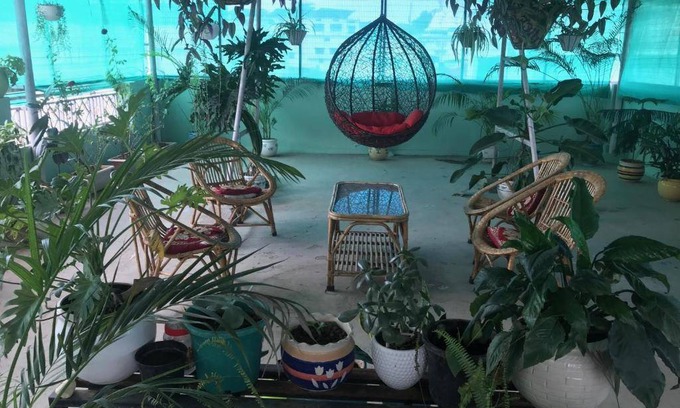 Clement Town Hostel | Hostel ∙ 8 guests