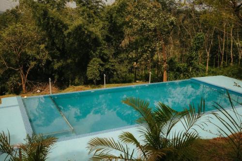 Sulthan Bathery Resort | Misty Night Wayanad Pool Resort