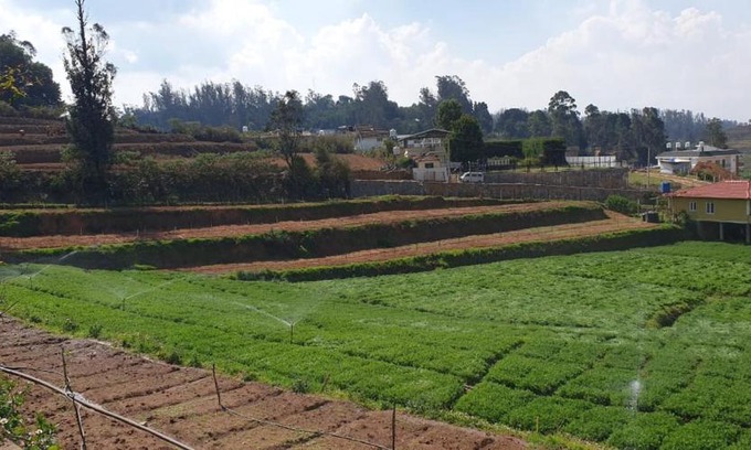 Ooty Apartment | Ooty Farm House