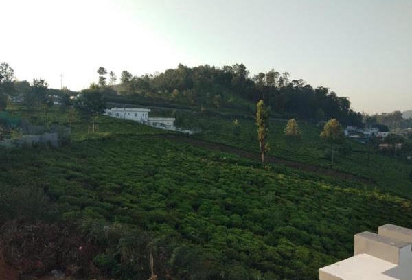 Ooty House | Ooty hills inn