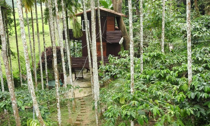 Virarajendrapet House | The Bliss Coorg