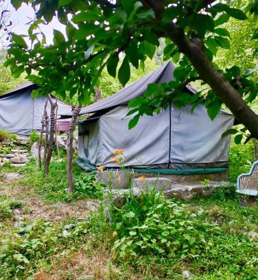 Jibhi Other | woodland camping tent jibhi
