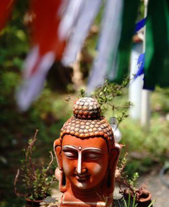 Auroville Hostel | WoodPacker Hostel Pondicherry