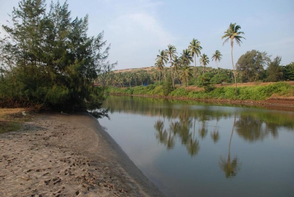 Photo of Outdoor in Mandrem