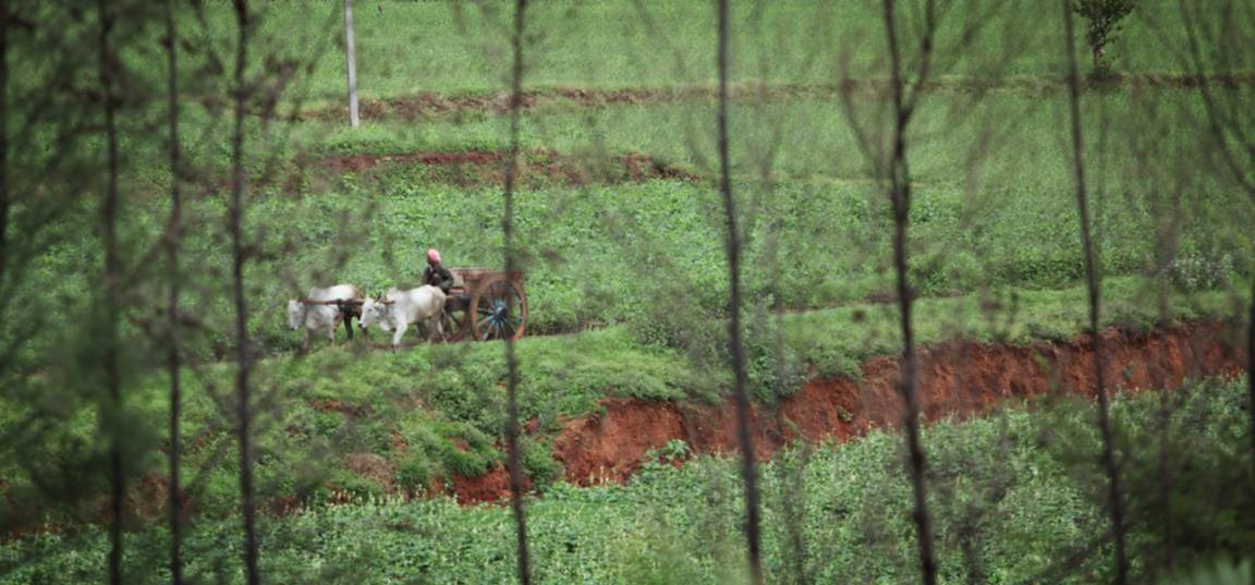 Photo of Others in Thekkady