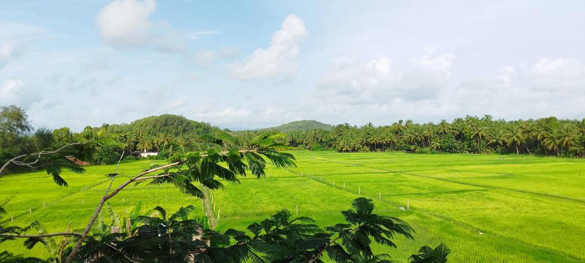 Photo of Others in Hireguthi