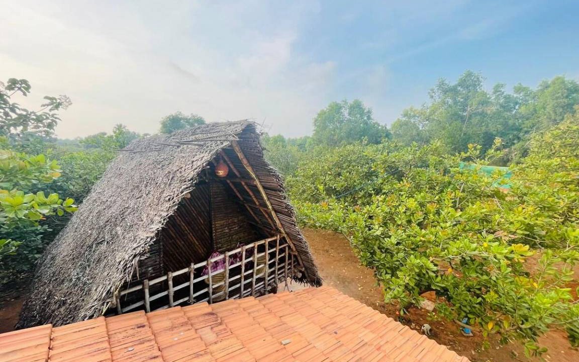 Photo of Others in Auroville