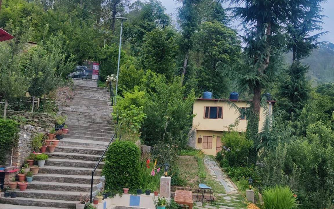 Photo of Others in Shimla