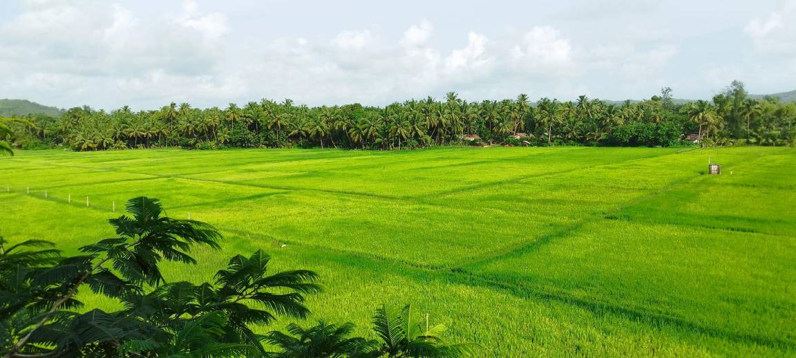 Photo of Others in Hireguthi