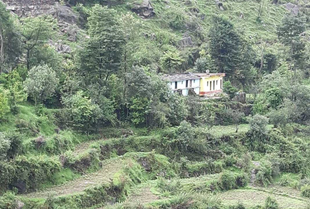 Photo of Others in Chamoli