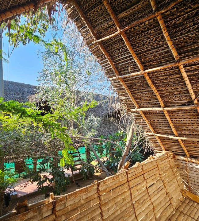 Photo of Others in Auroville