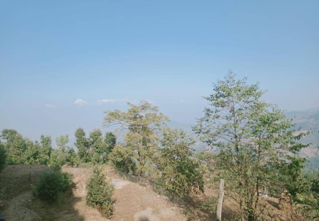 Photo of Others in Kausani