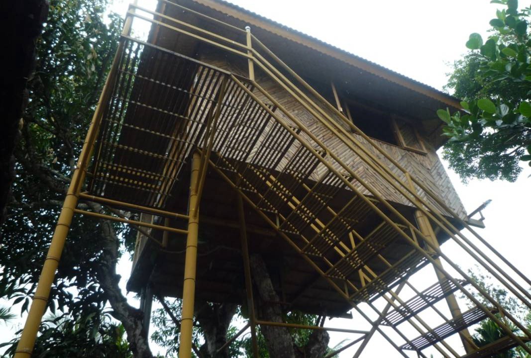 Photo of Others in Kenichira