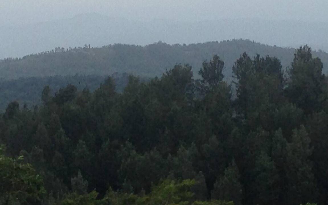 Photo of Others in Yercaud