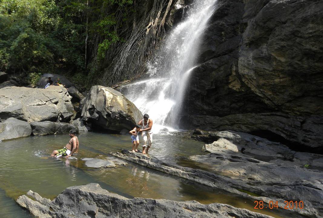 Photo of Others in Mananthavady