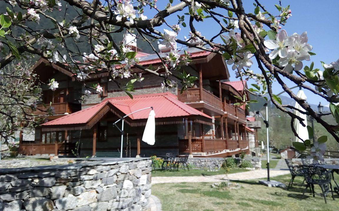 Photo of Others in Manali