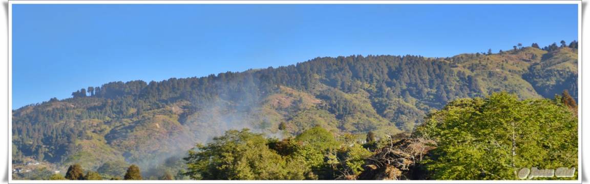 Photo of Others in Karsiyang
