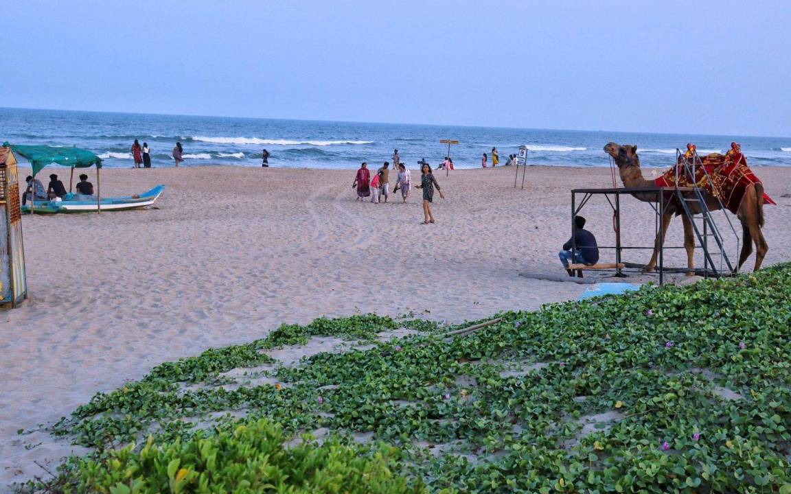 Photo of Others in Kalapettai