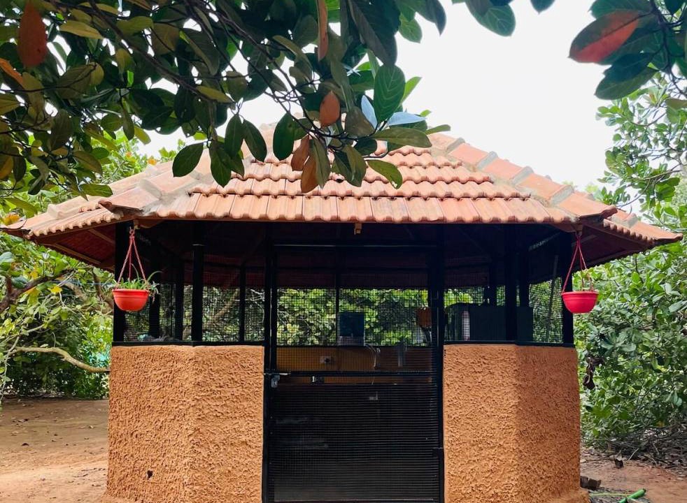 Photo of Others in Auroville