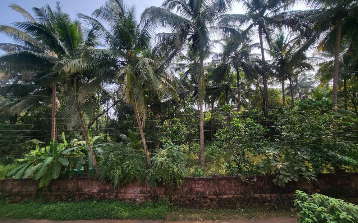 Photo of Others in Kudal