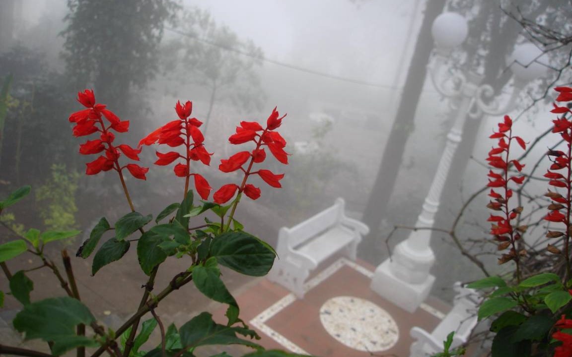 Photo of Others in Yercaud
