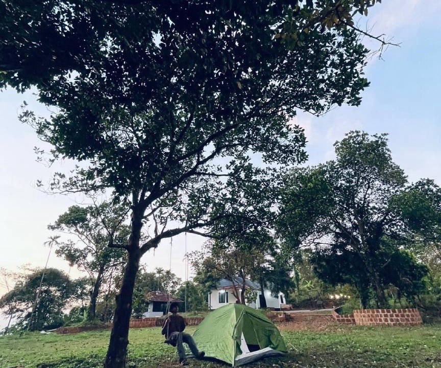 Photo of Others in Talipparamba