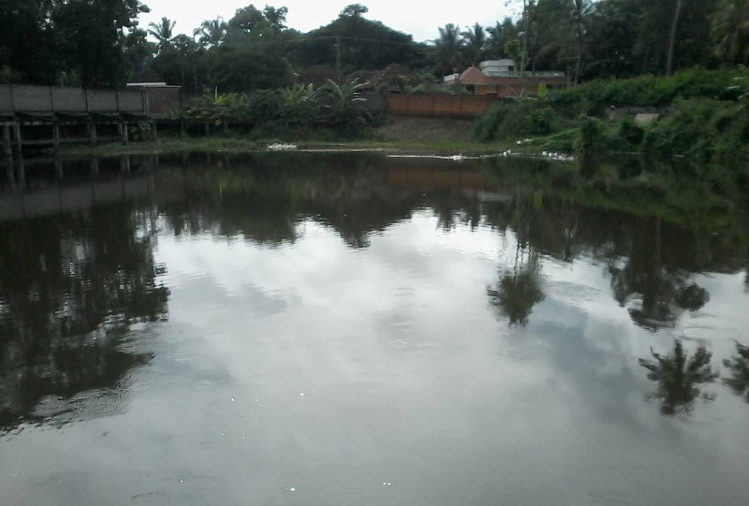 Photo of Others in Alattur