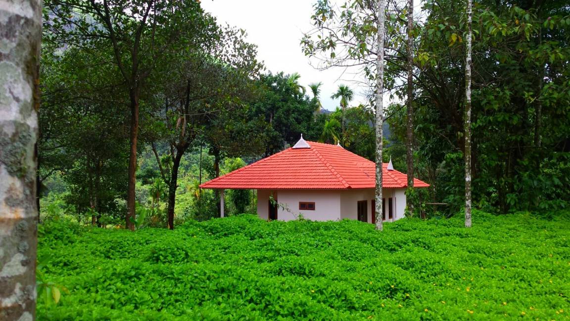 Photo of Others in Talipparamba
