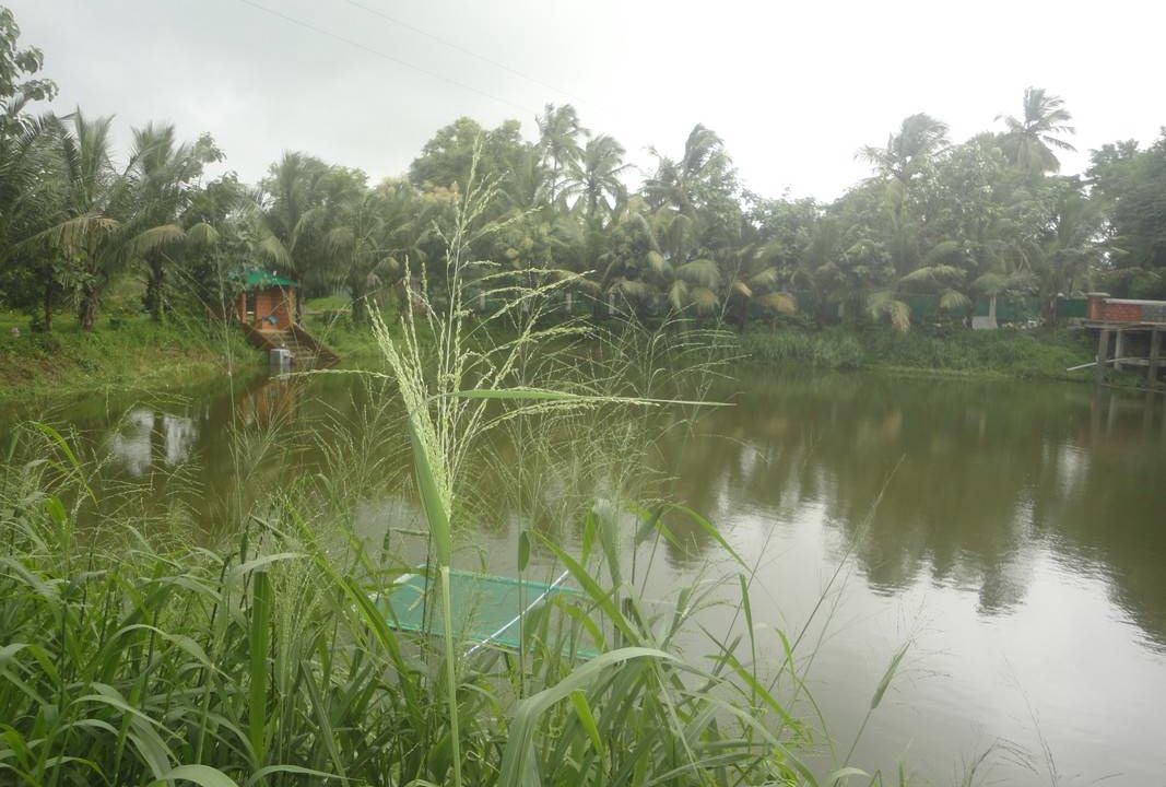 Photo of Others in Alattur